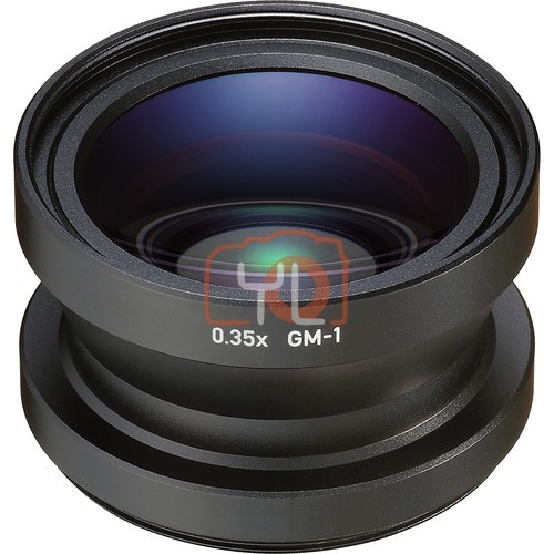 Ricoh GM-1 Macro Conversion Lens