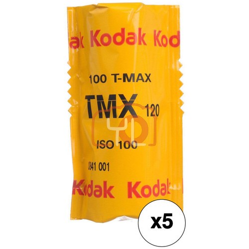 Kodak Professional T-Max 100 Black and White Negative Film (120 Roll Film, 10-Rolls)