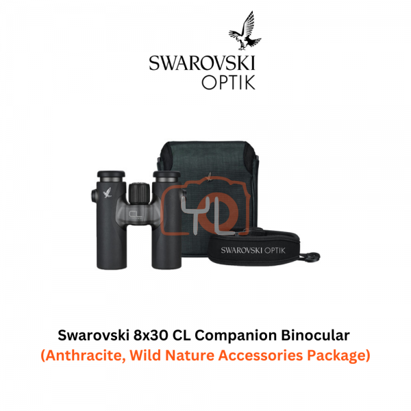 Swarovski 8x30 CL Companion Binocular (Anthracite, Wild Nature Accessories Package)