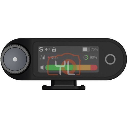 Hollyland LARK MAX 2 Camera-Mount Wireless Receiver (Space Gray, 2.4 GHz)