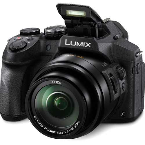 Panasonic Lumix DMC-FZ300 [Free 16GB SD Card & Carrying Case]