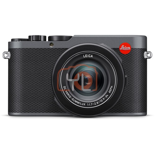 Leica D-Lux 8 Digital Camera (Metal Gray)
