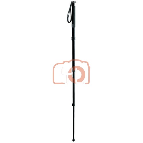 Gitzo GM2942 Basalt Monopod - Supports 22 lbs (10kg)