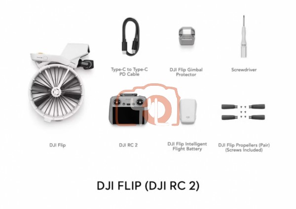 DJI FLIP (DJI RC 2) (GL)