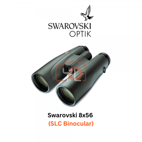 Swarovski SLC 8x56 (Green)