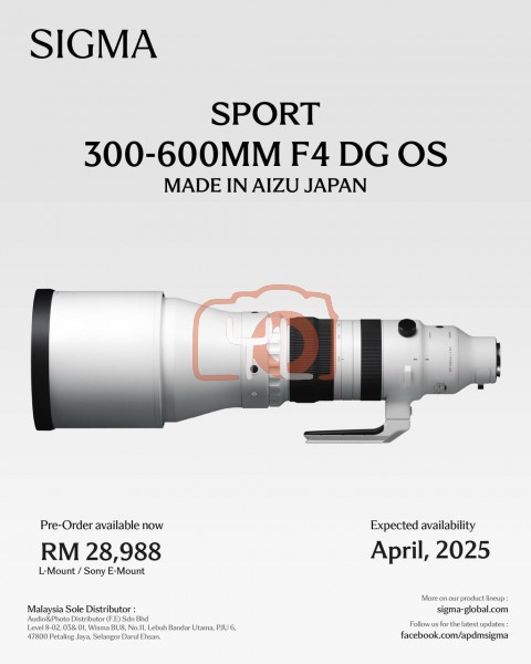 Sigma 300-600mm f/4 DG OS Sports Lens (Sony E)