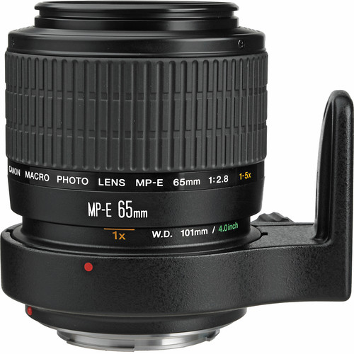 Canon MP-E 65mm F2.8 1-5x Macro