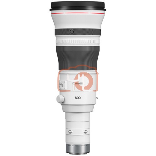 Canon RF 800mm F5.6 L IS USM Lens