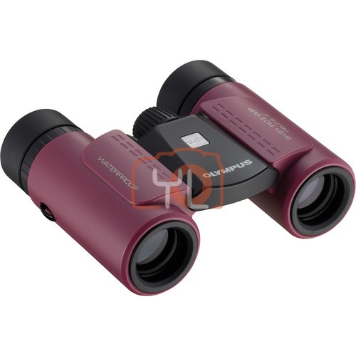 Olympus 8x21 RC II WP Binocular - Magenta