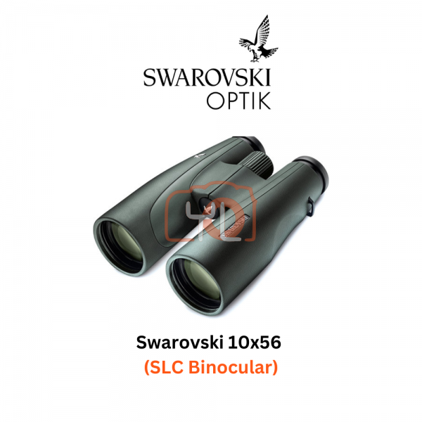 Swarovski SLC 10x56 (Green)