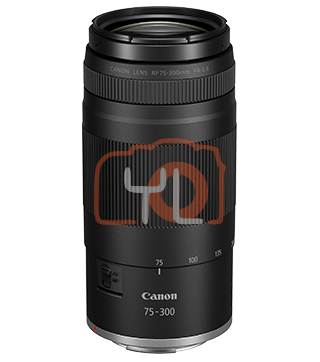 Canon RF 75-300mm f/4-5.6 Lens (Canon RF)