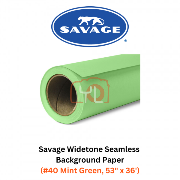 Savage Widetone Seamless Background Paper (#40 Mint Green, 53