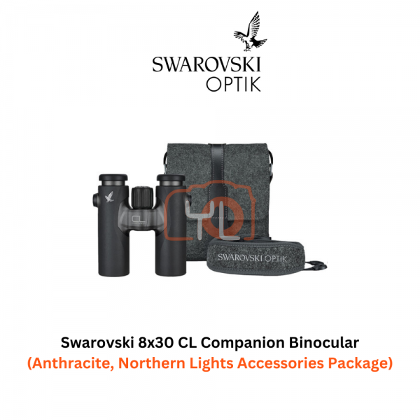 Swarovski 8x30 CL Companion Binocular (Anthracite, Northern Lights Accessories Package)