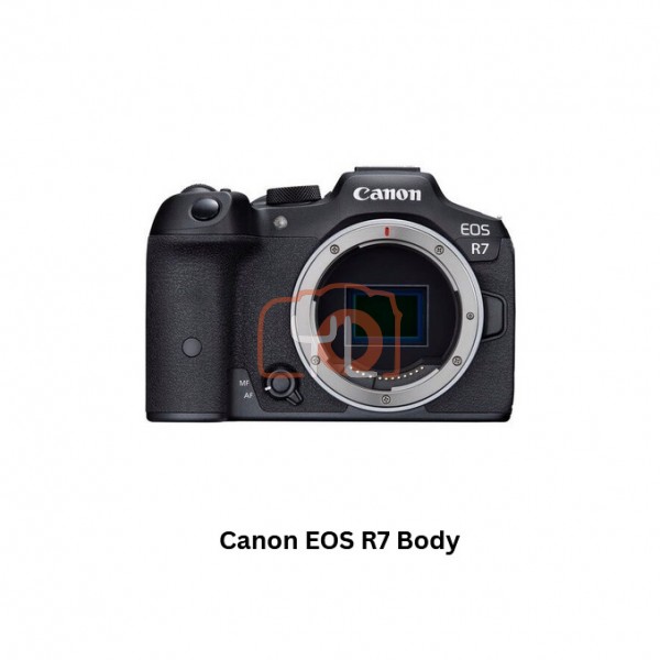 Canon EOS R7 Camera Body - Free  64GB V30 SD Card